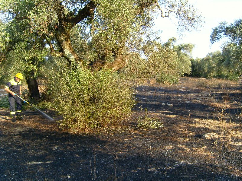 CAMPAGNA AIB 2010